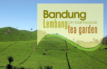 TeaGarden Travel Package